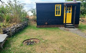 Field Hut